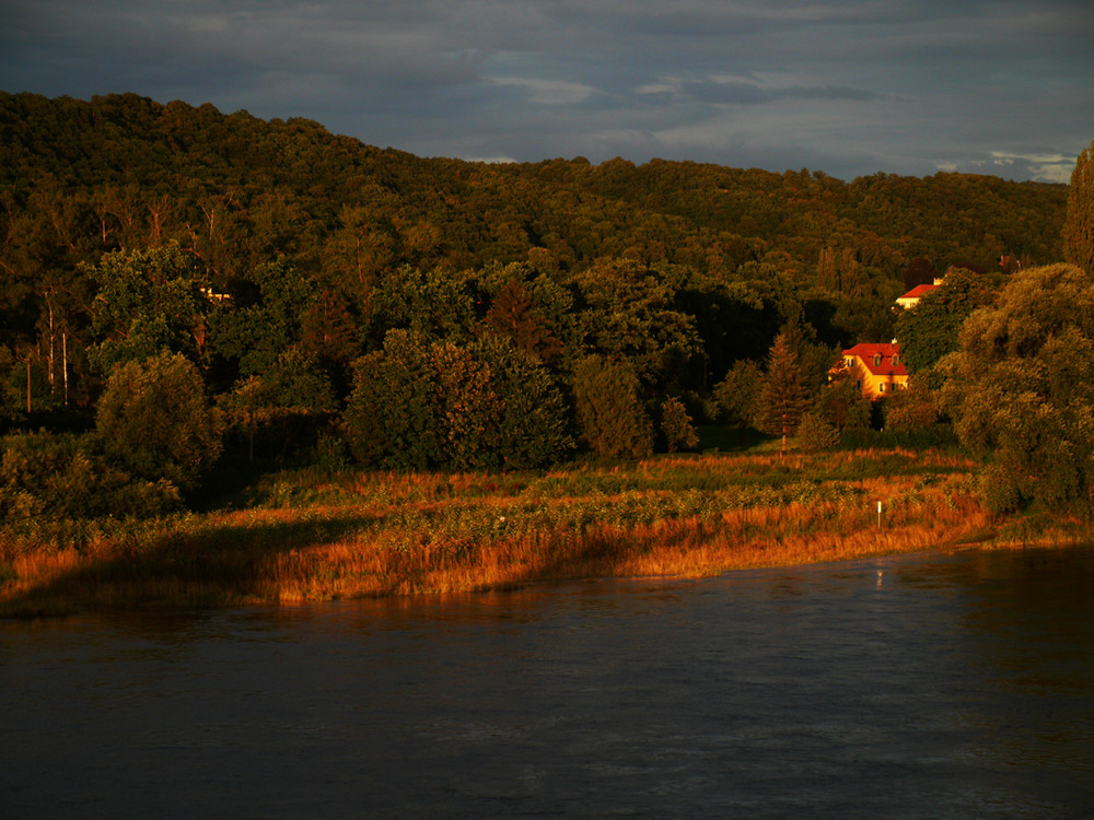 Abends vorm Balkon II