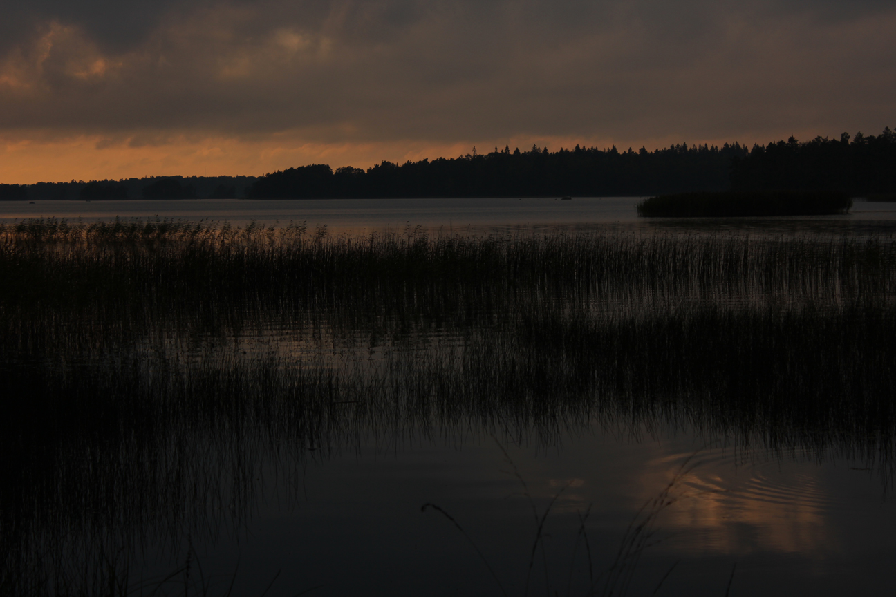 Abends, wenn die Fische träumen.