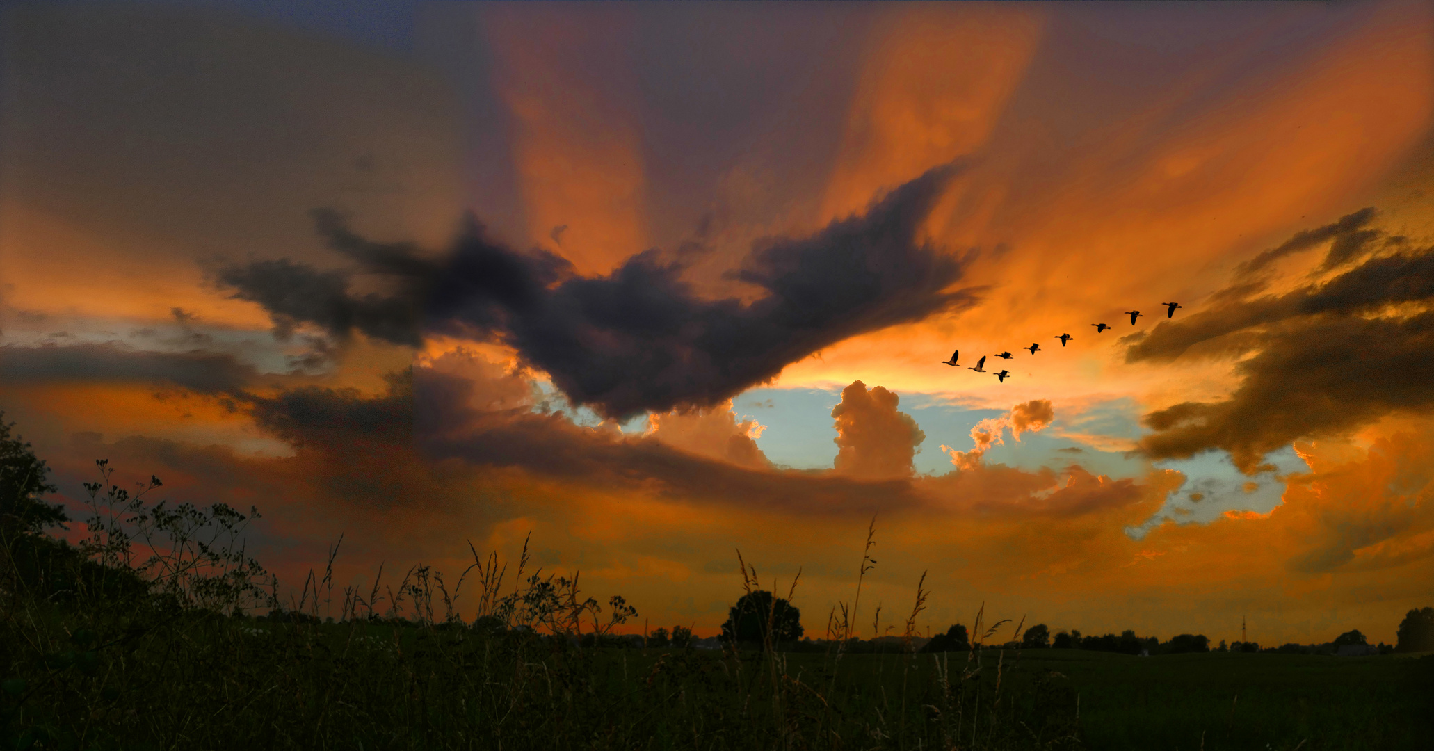 abends, wenn die Gänse ziehen