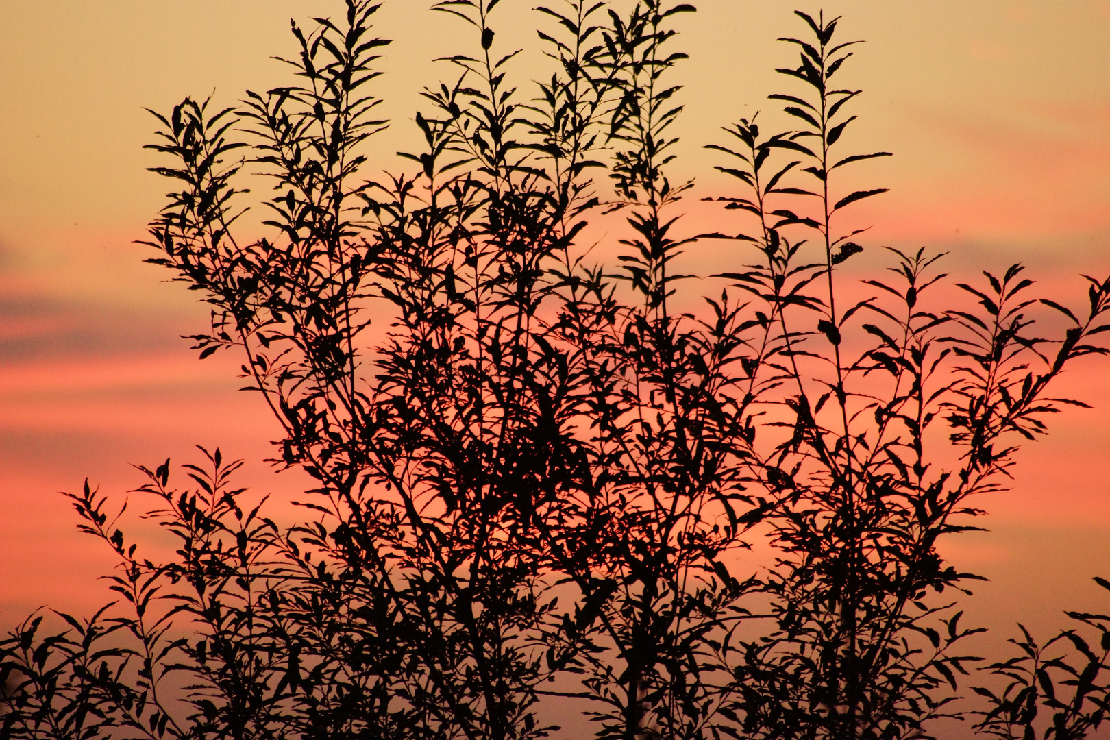 Abends, wenn die Sonne schlafen geht...