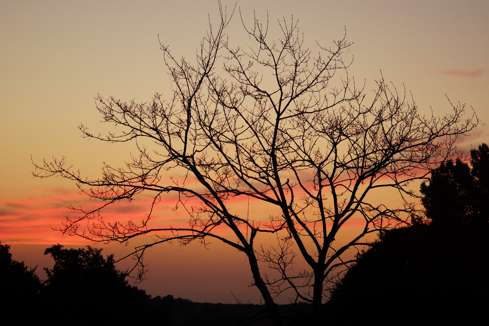 Abends, wenn die Sonne schlafen geht...