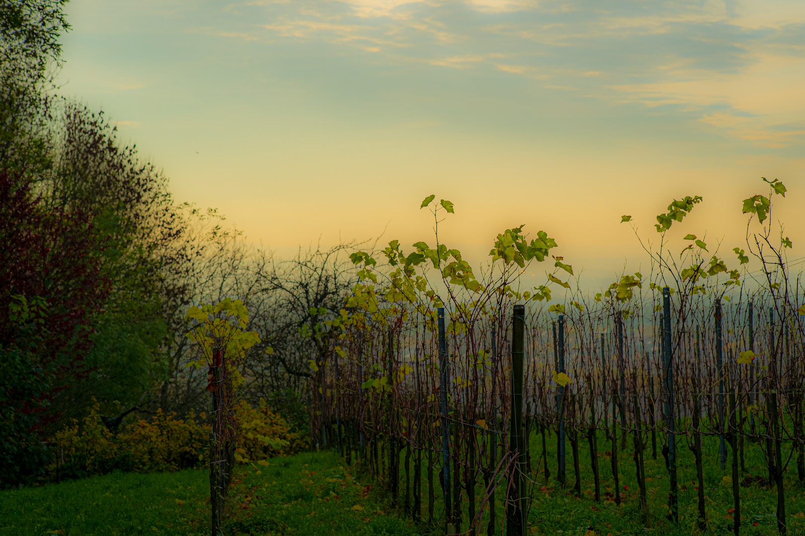 Abends wird es schon früh dunkel