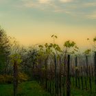 Abends wird es schon früh dunkel