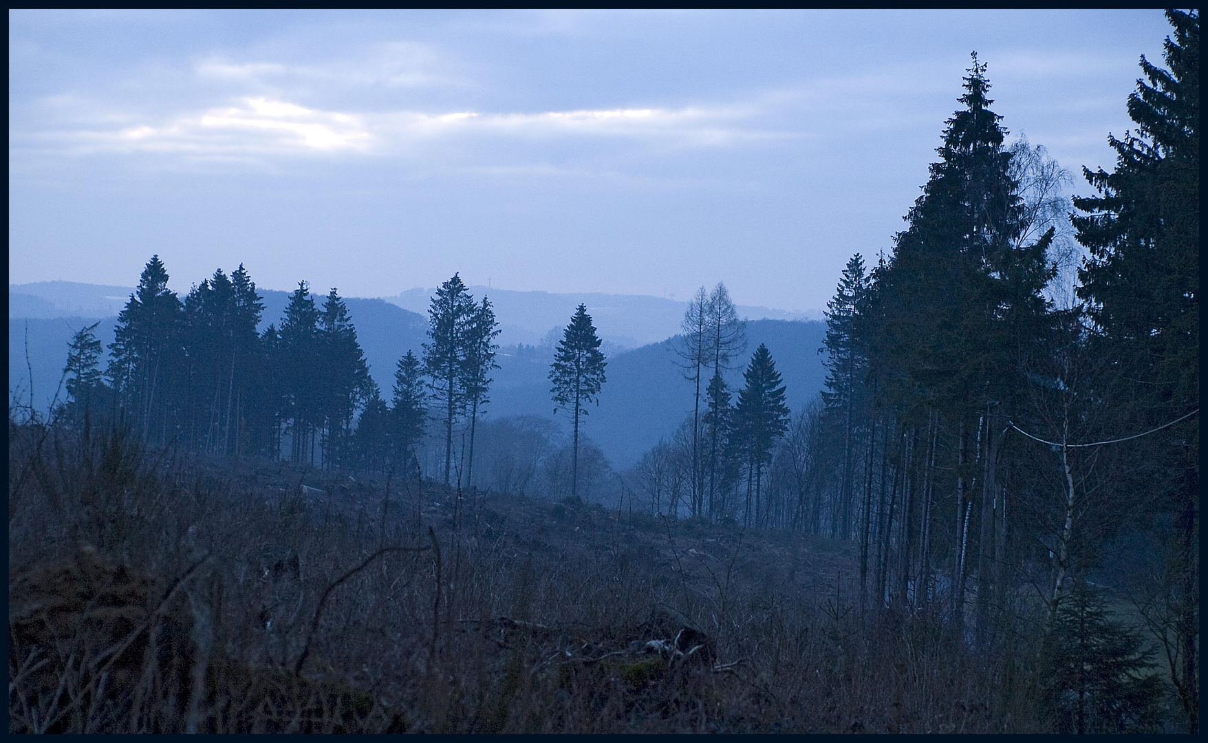 Abends, zwischen Neuenrade und dem Nettenscheid...