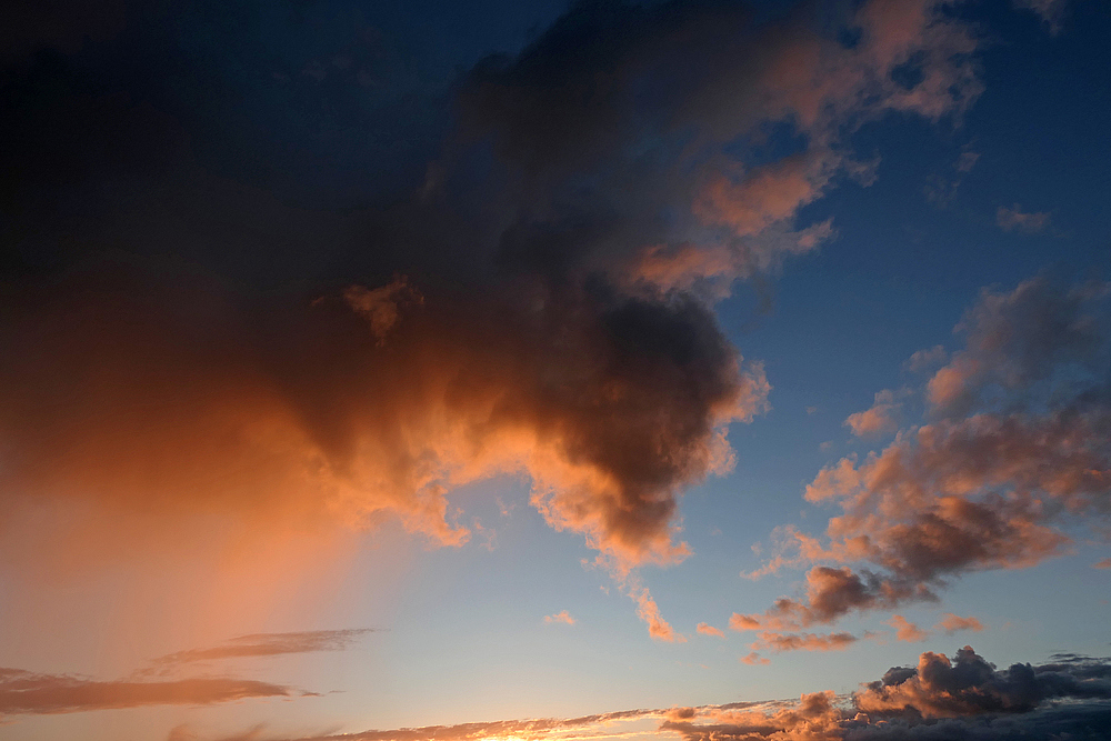 Abends zwischen Wreechener See und Rügischem Bodden 05