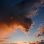 Abends zwischen Wreechener See und Rügischem Bodden 05