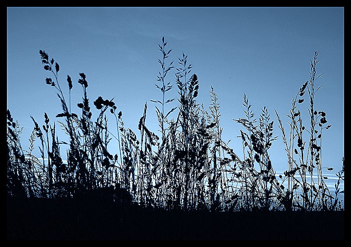 abends...blue