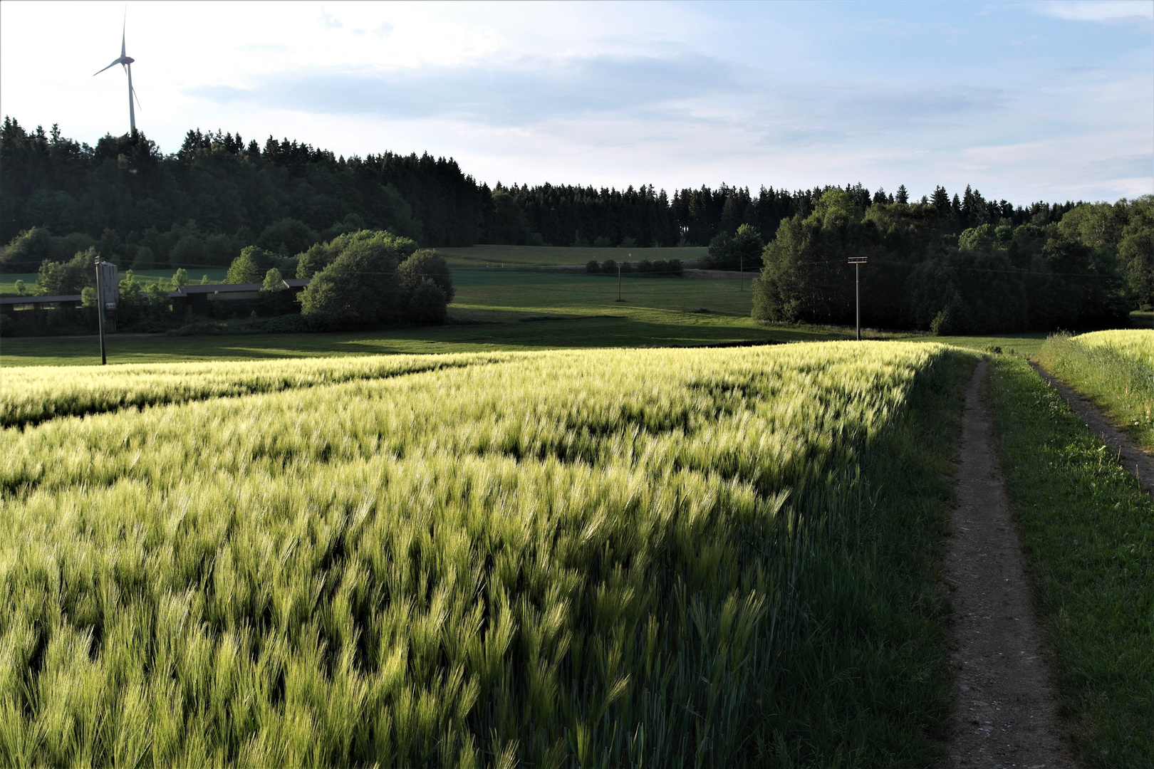 Abendschatten