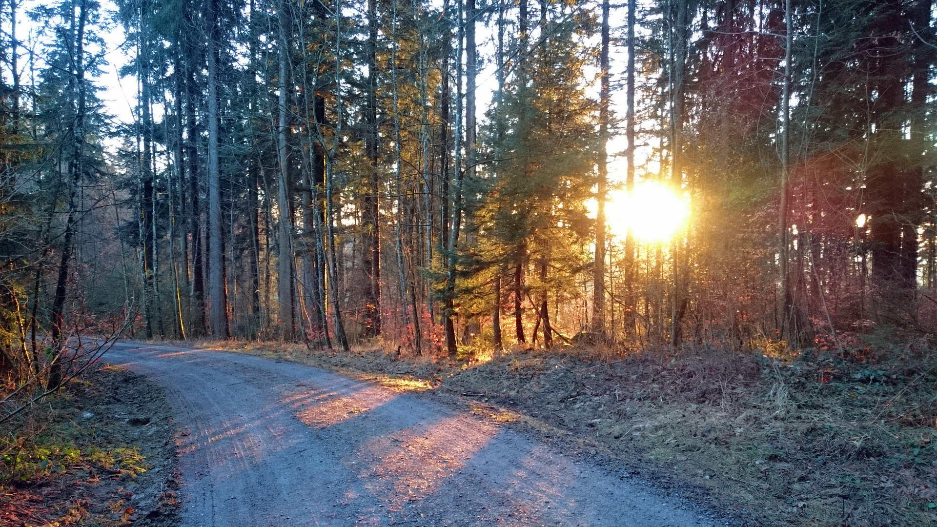 Abendschatten