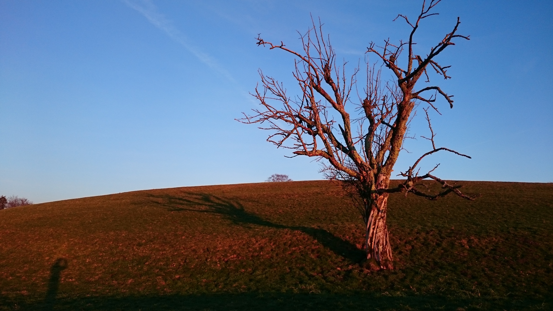 Abendschatten