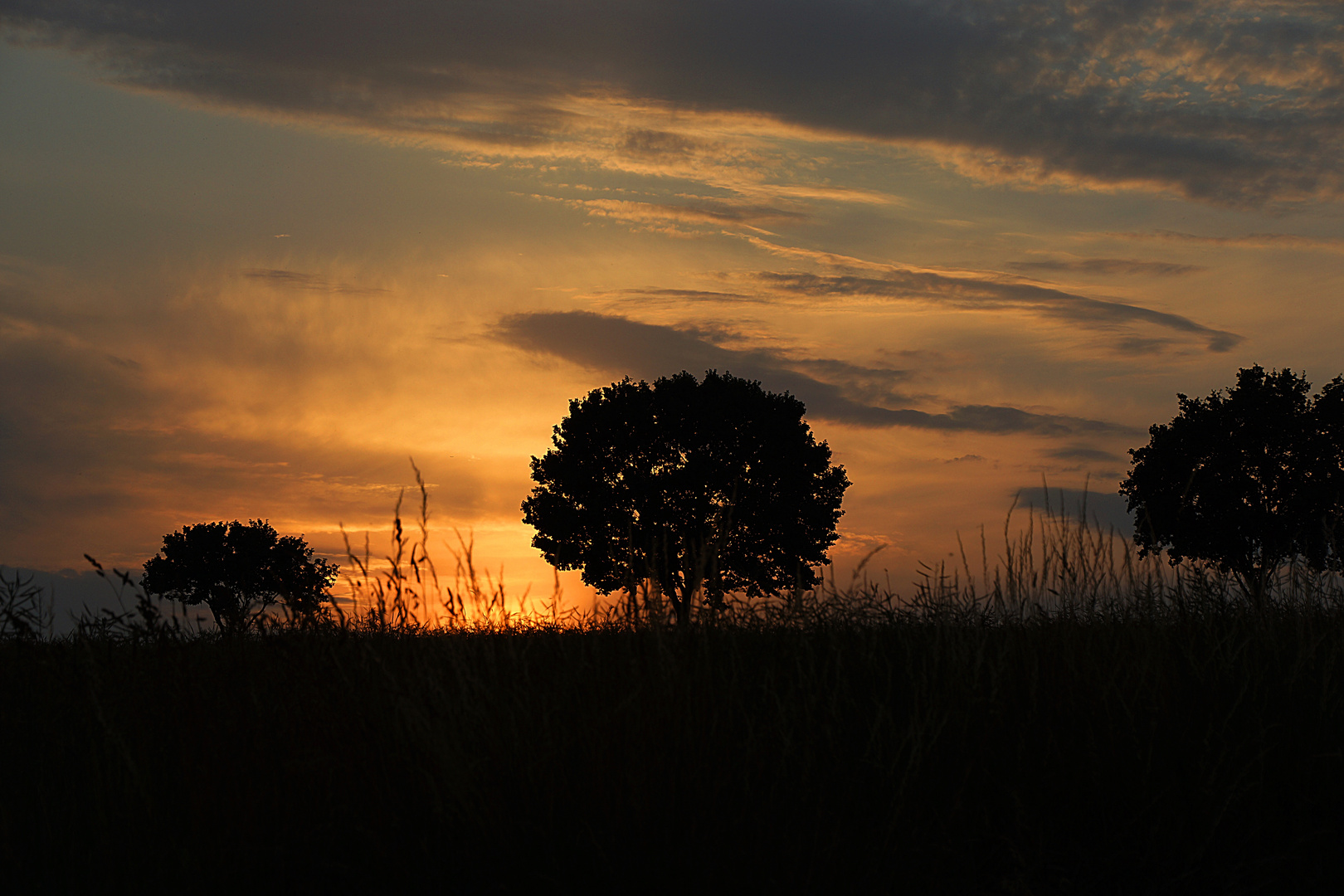 Abendschleier