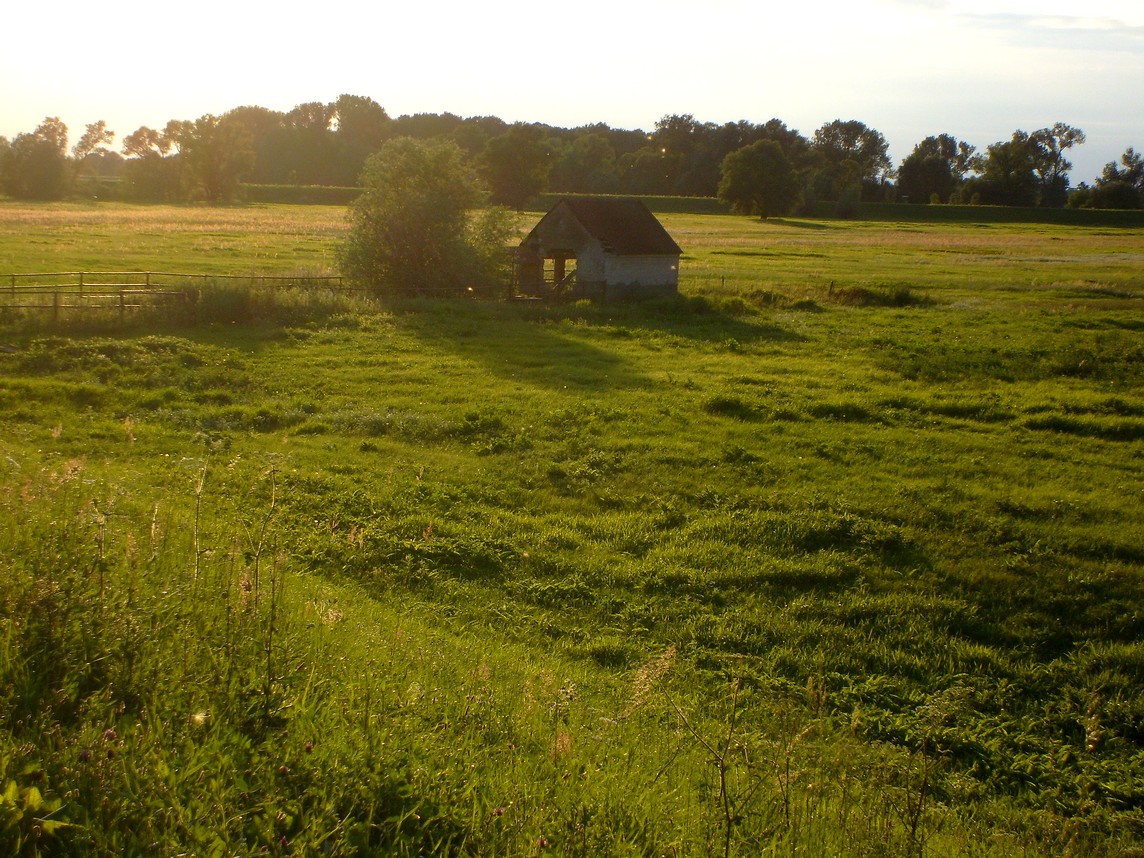 Abendschleier im Odervorland