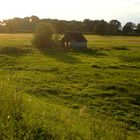 Abendschleier im Odervorland