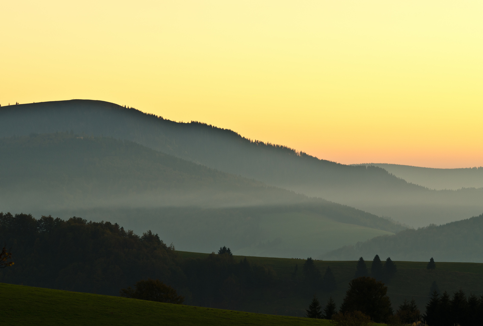 Abendschleier im Schauinsland ( Schwarzwald )