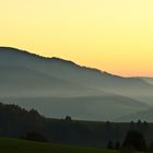 Abendschleier im Schauinsland ( Schwarzwald )