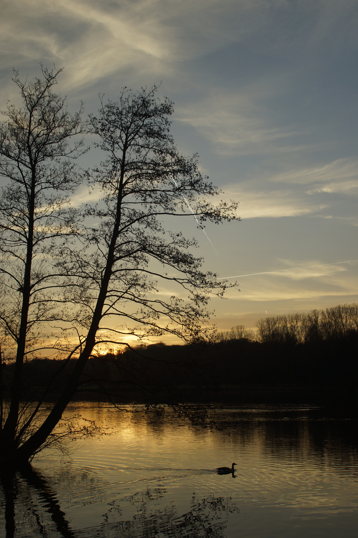 Abendschwimmen