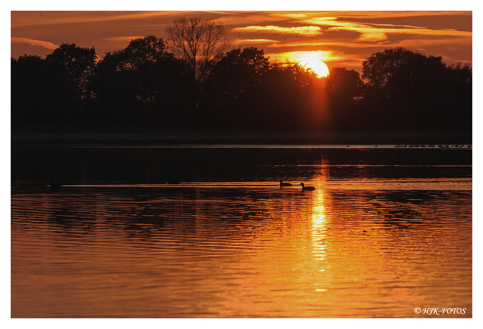 Abendschwimmen