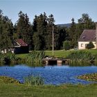 Abendschwimmen der Wildenten