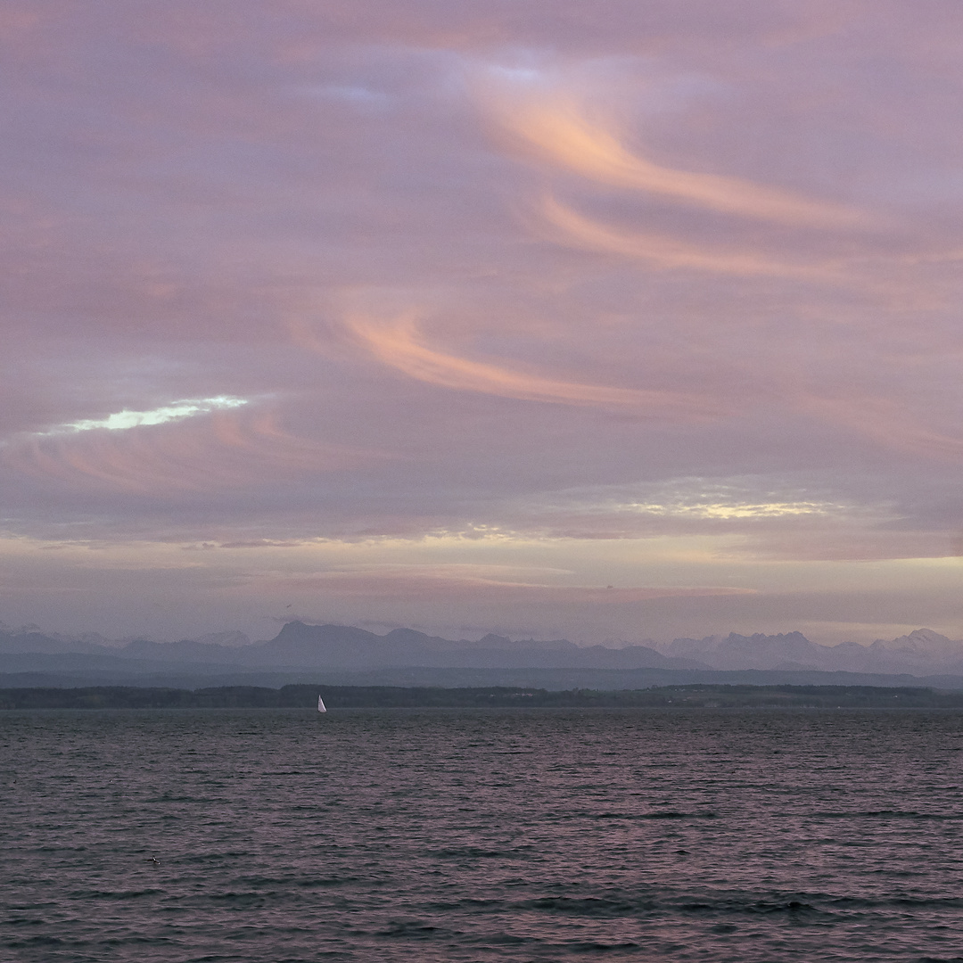 Abendsegler auf dem Neuenburgersee