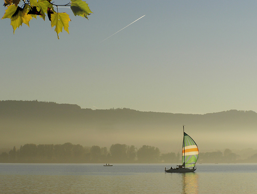 Abendsegler - Bodensee 6