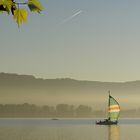 Abendsegler - Bodensee 6