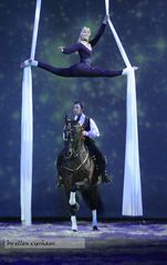 Abendshow "Cheval passion"