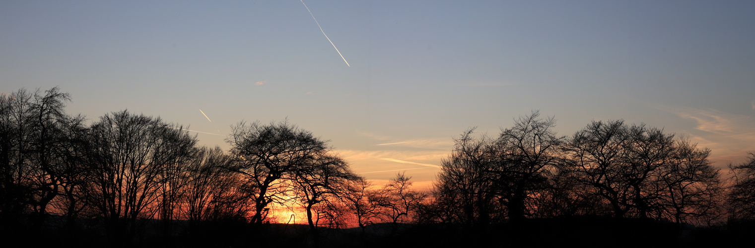 abendsilhouette