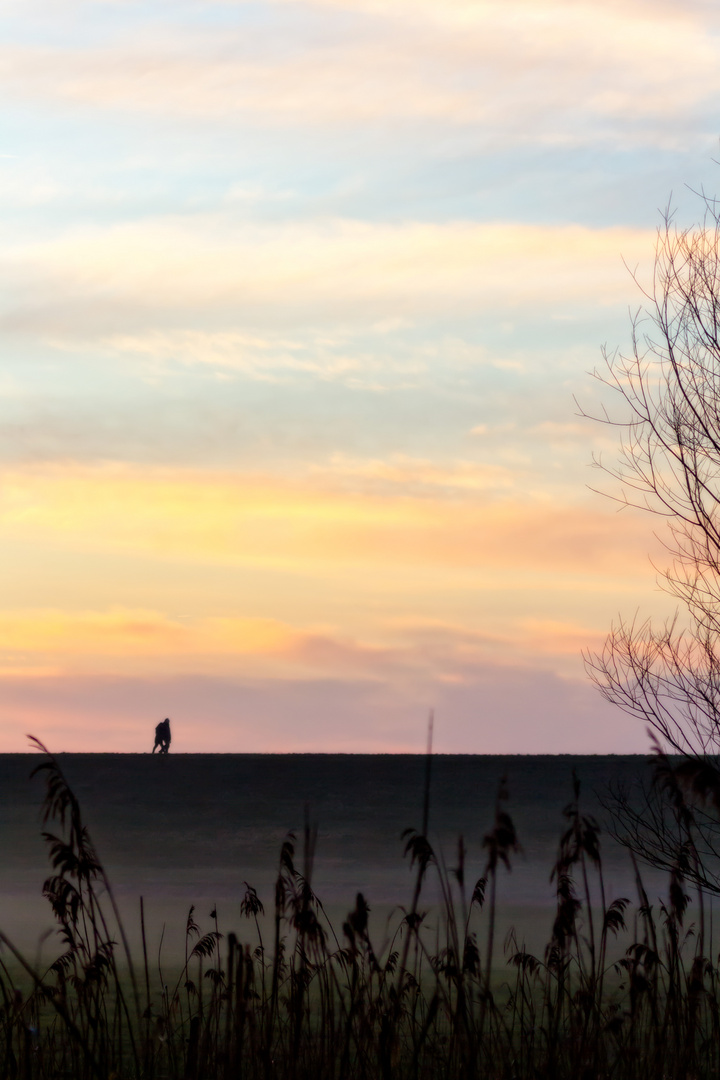 Abendsilhouetten