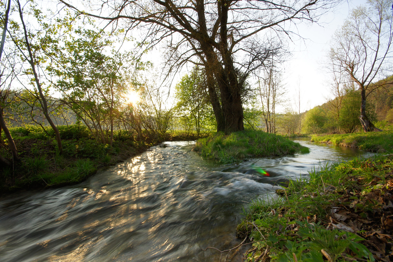 Abendslicht an Schmiechenbach.