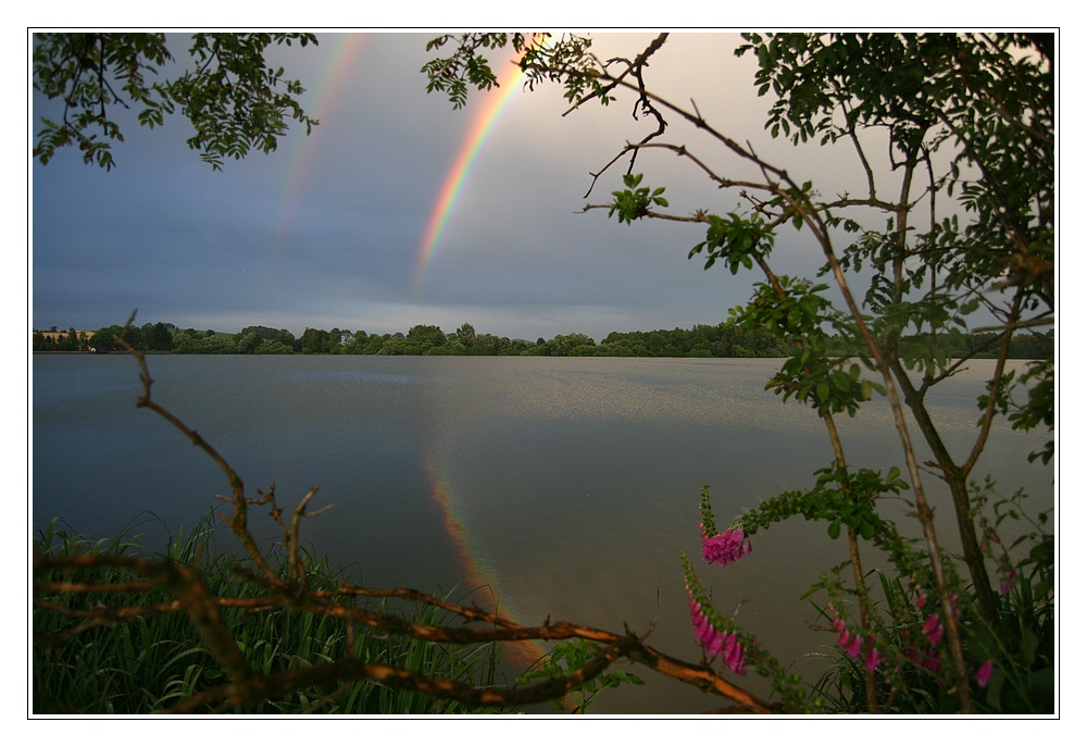 Abends_nach_dem _Regenschauer