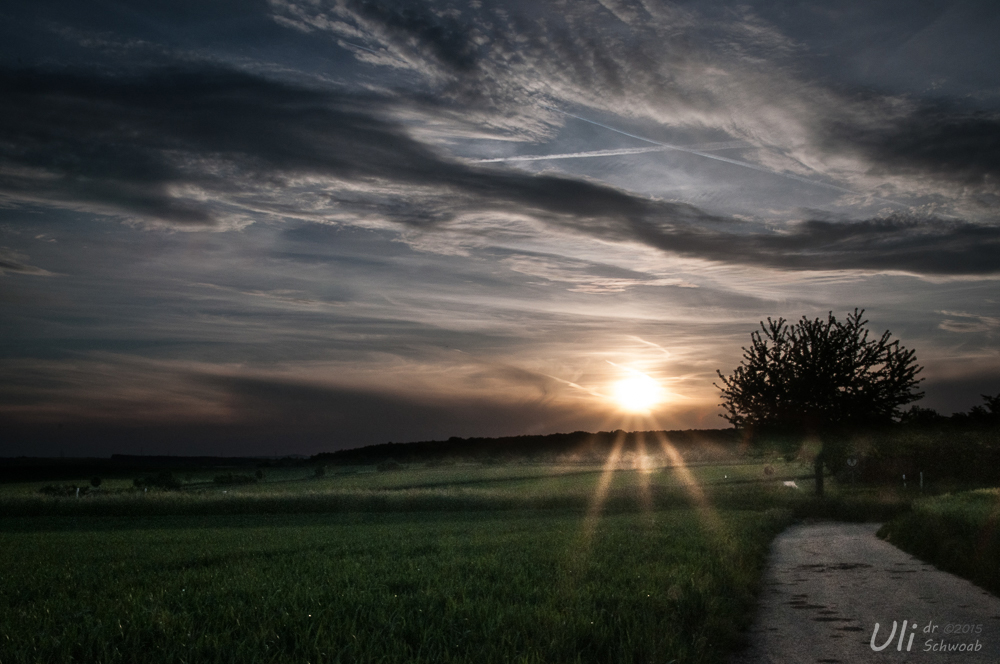 Abendsomme