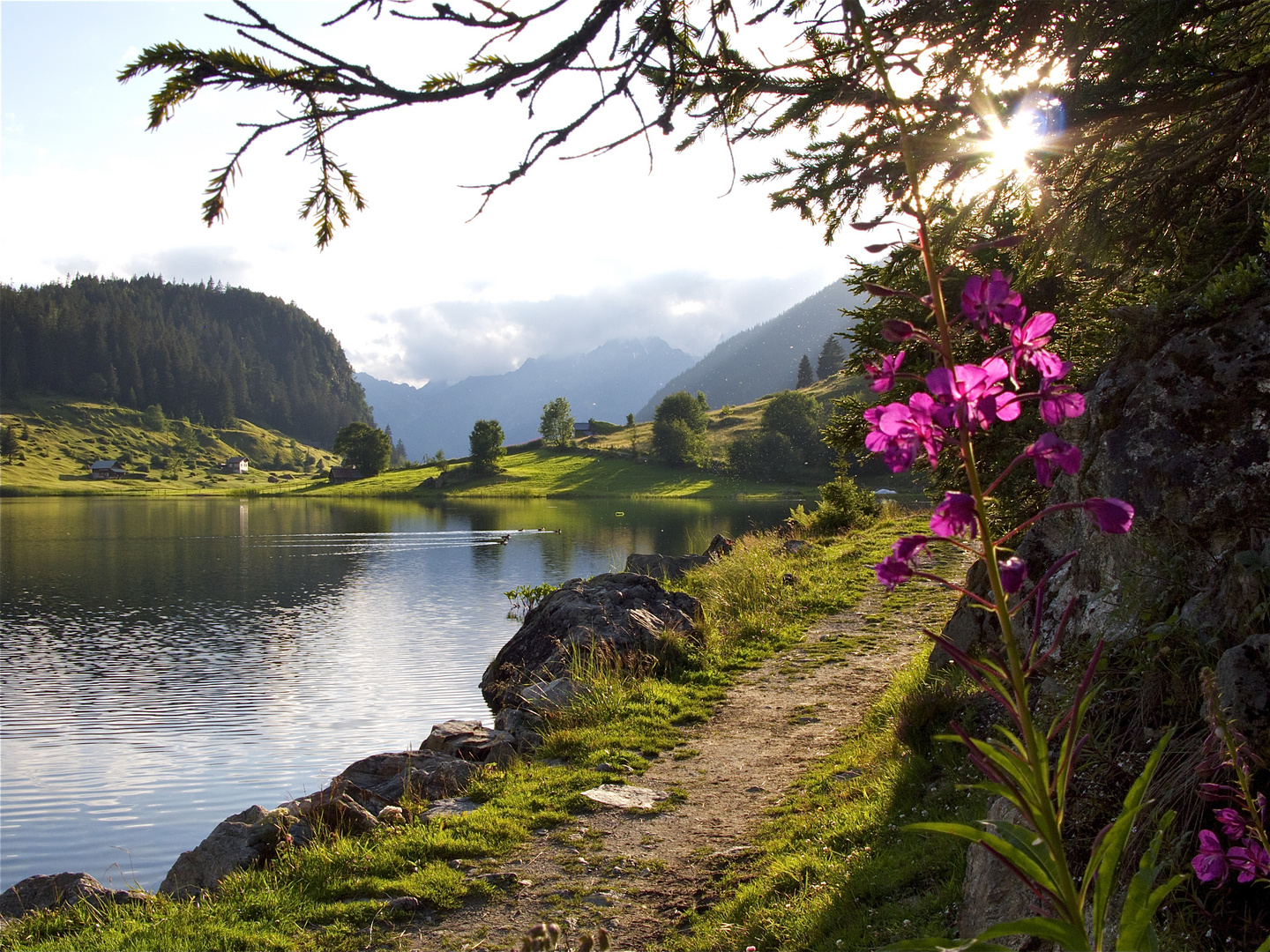 Abendsone am Golzernsee