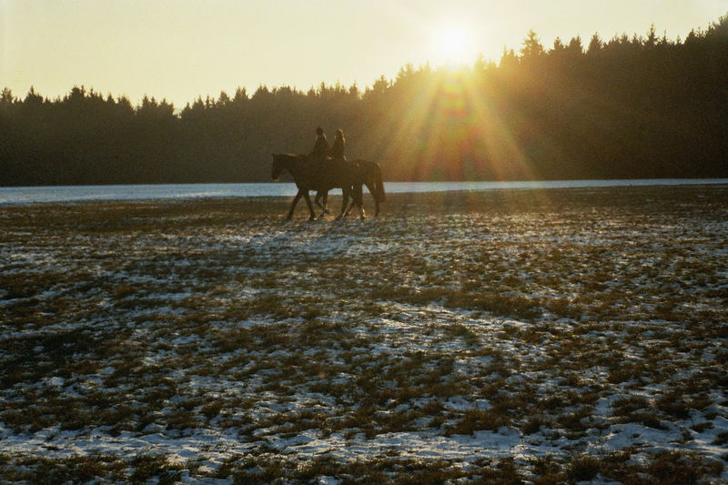 Abendsonne von Doreen Eichhorn