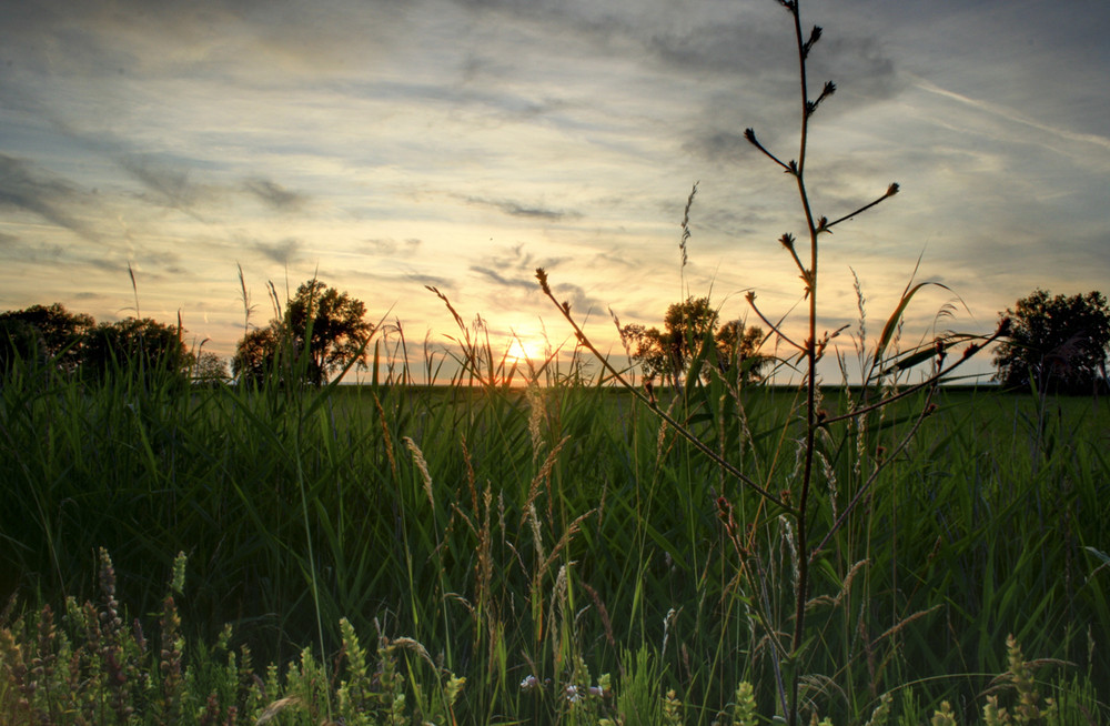 Abendsonne