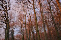 Abendsonne ... 10 Sekunden vor dem peitschenden Regensturm