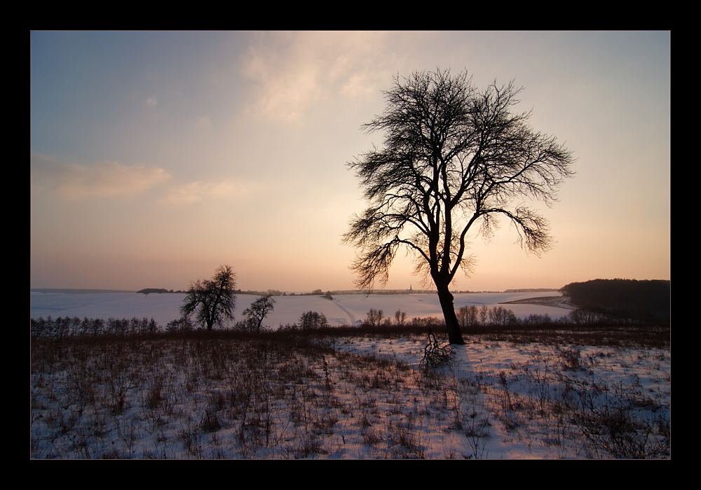 Abendsonne von Bernd Fieger 