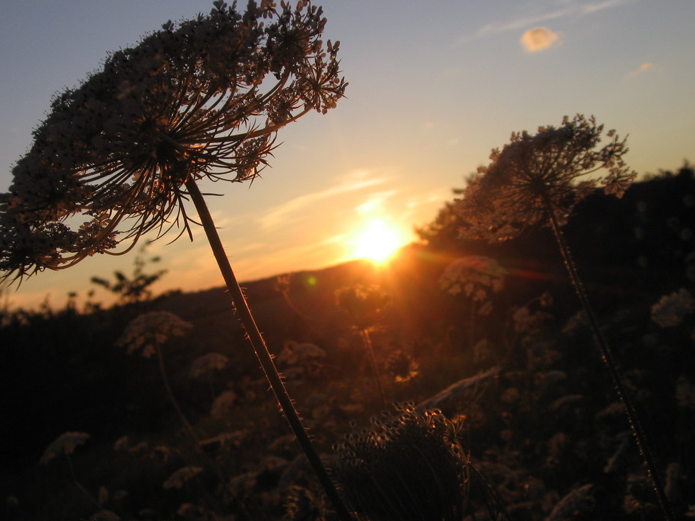 Abendsonne