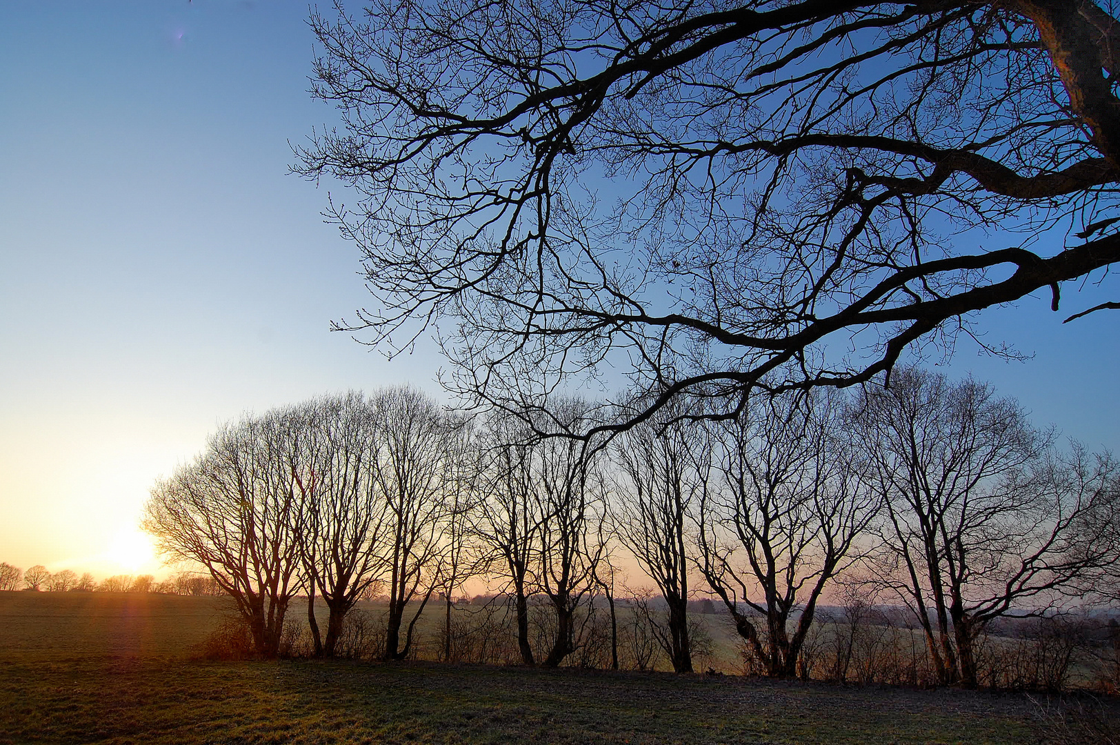 Abendsonne