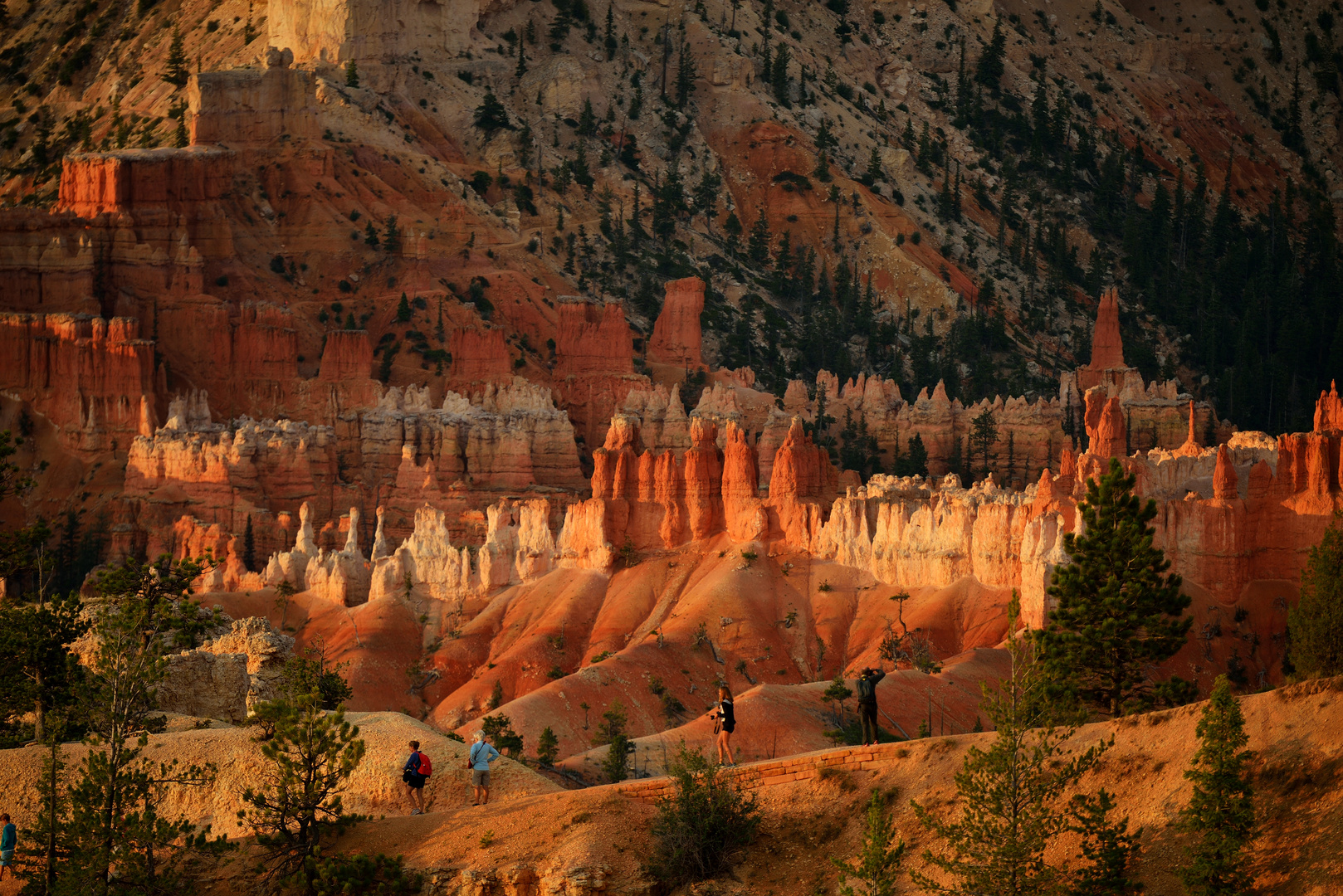 Abendsonne 3: Abschied vom Bryce Canyon