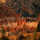 Abendsonne 3: Abschied vom Bryce Canyon