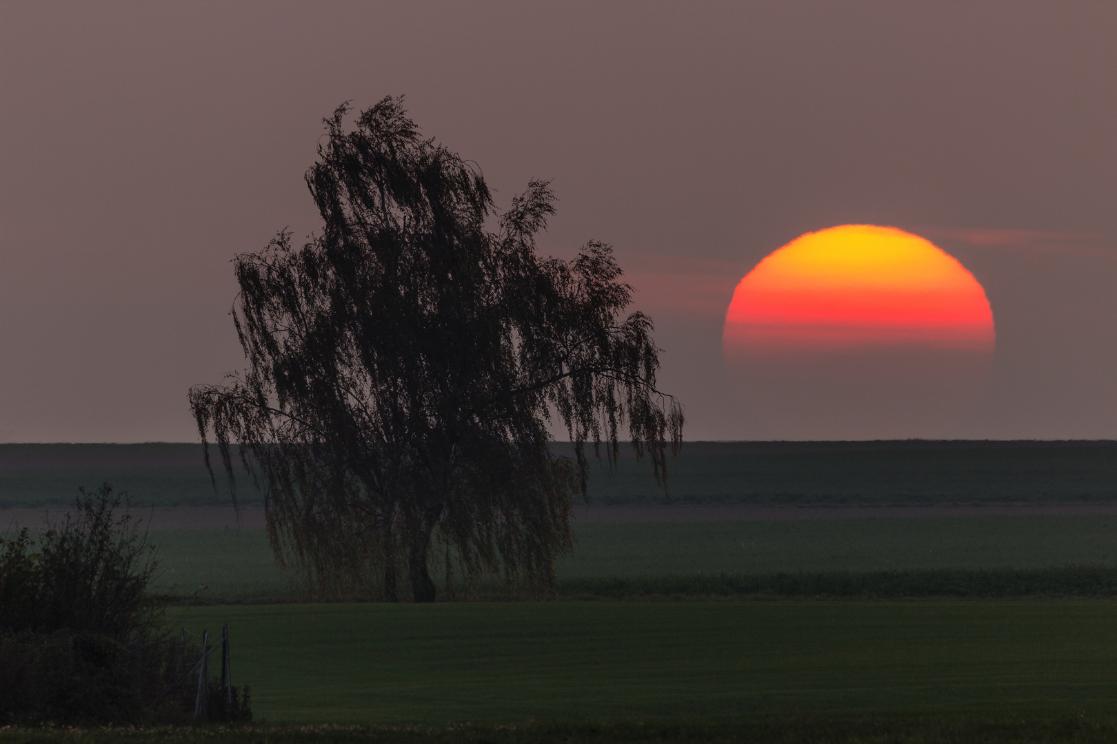 Abendsonne