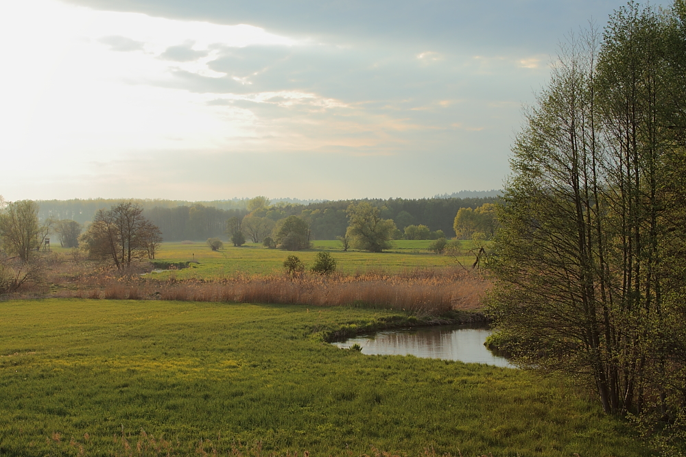 Abendsonne