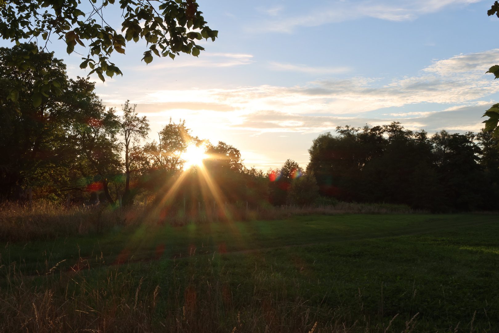 Abendsonne