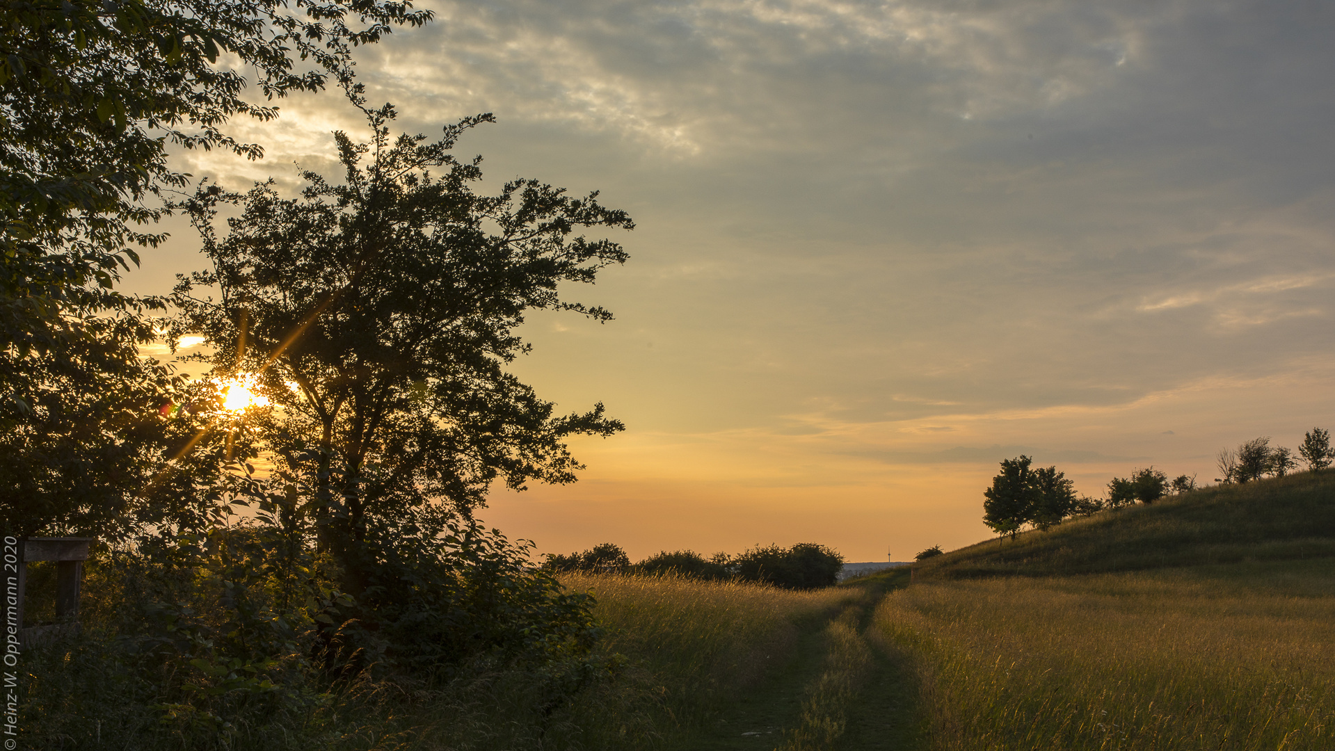 Abendsonne