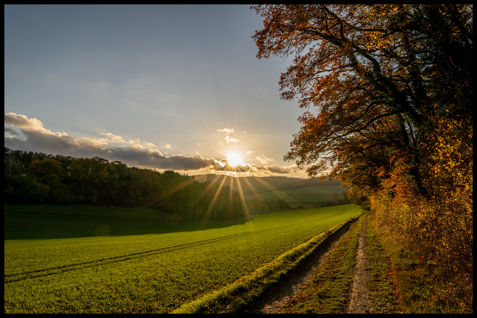 Abendsonne