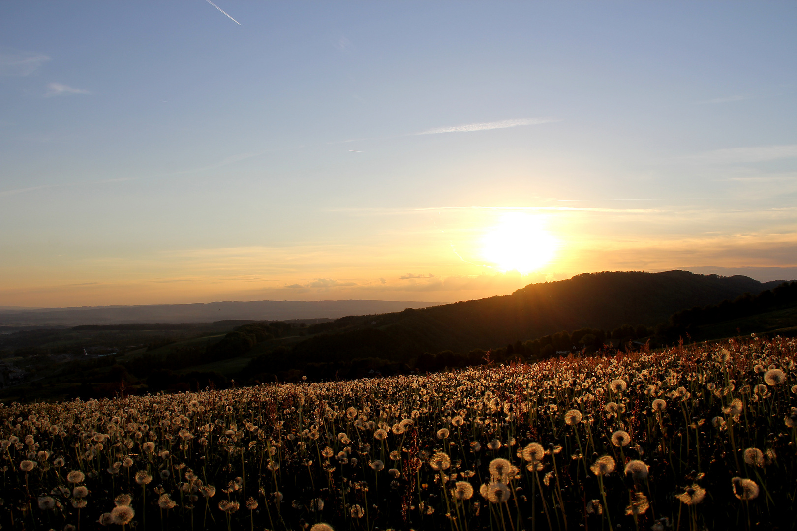 Abendsonne