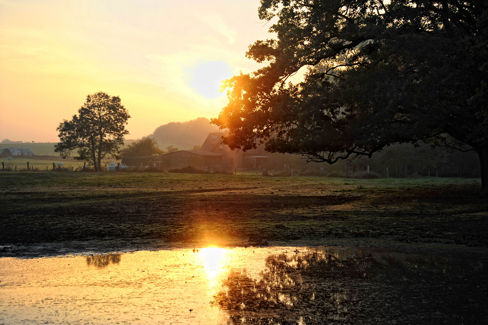 Abendsonne