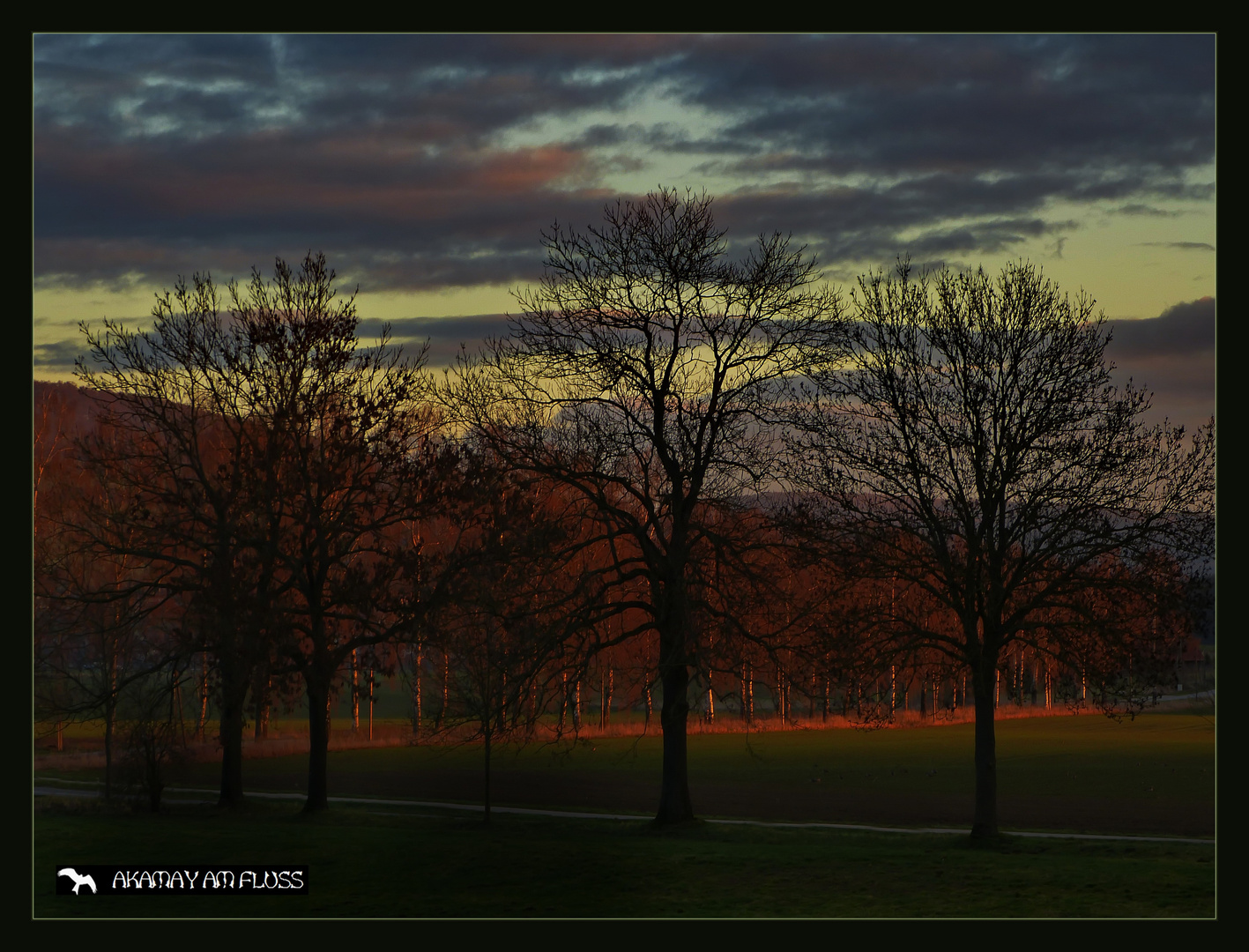 Abendsonne a.d. Weser