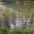 Abendsonne am Alpsee