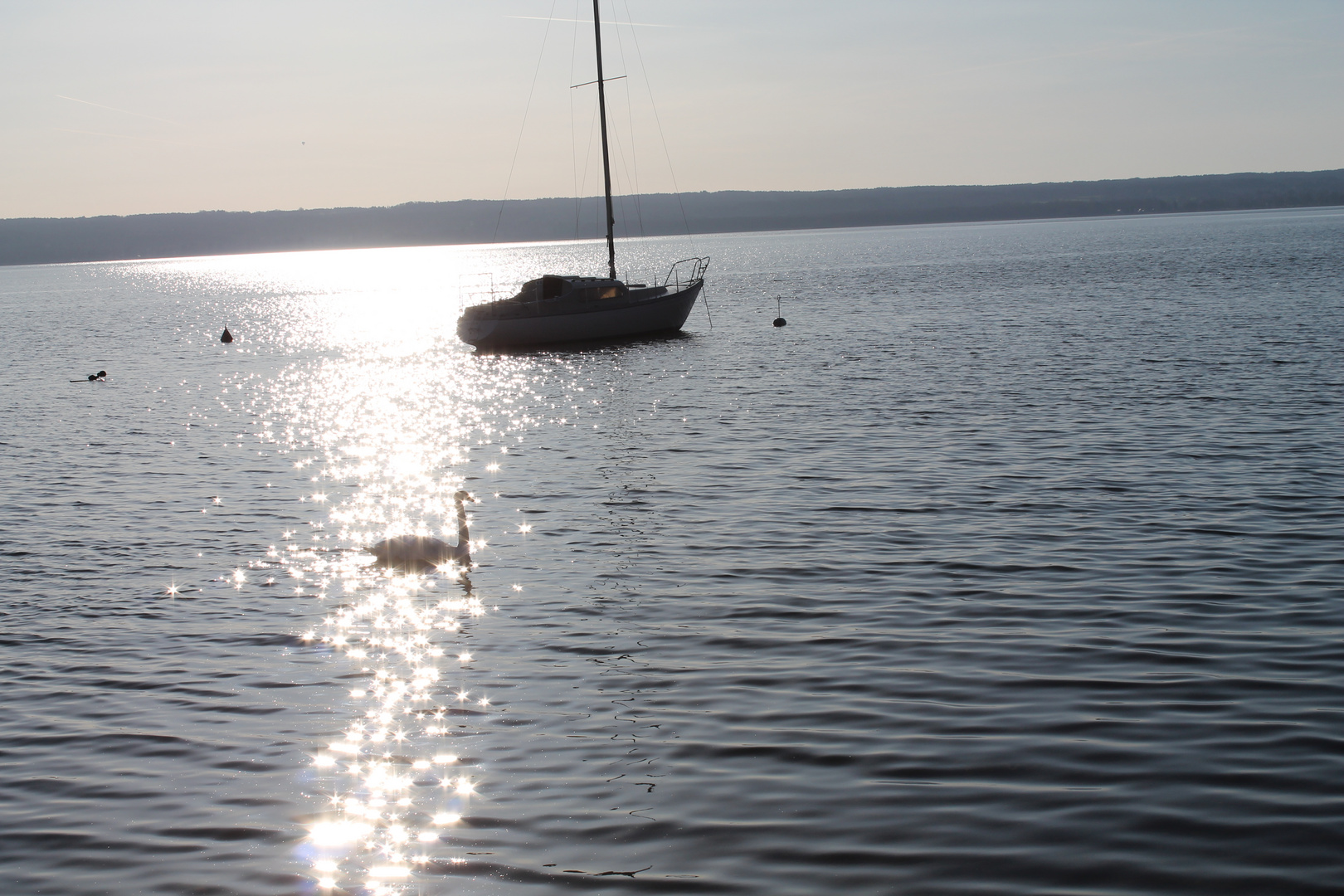 Abendsonne am Ammersee